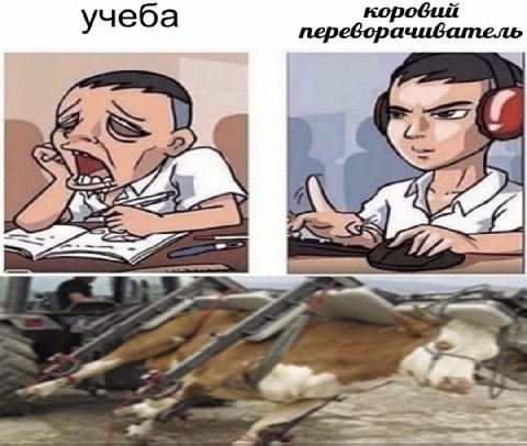 учеба переворачиватель
