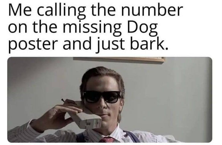 Me calling the number on the missing Dog poster and just bark.