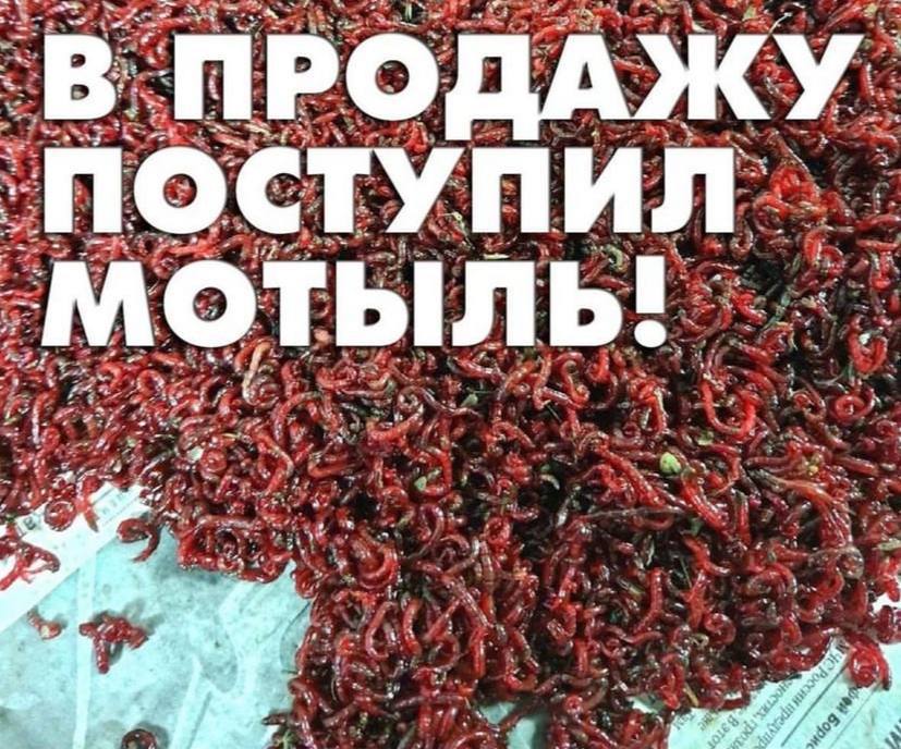ОДА ТУПИЛ OTbIsIb! у у
