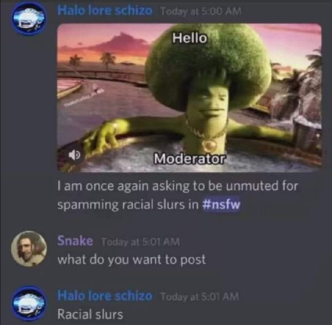 Moderator once again asking to be unmuted for spamming racial slurs in #nsfw Snake what you want to post Racial slurs
