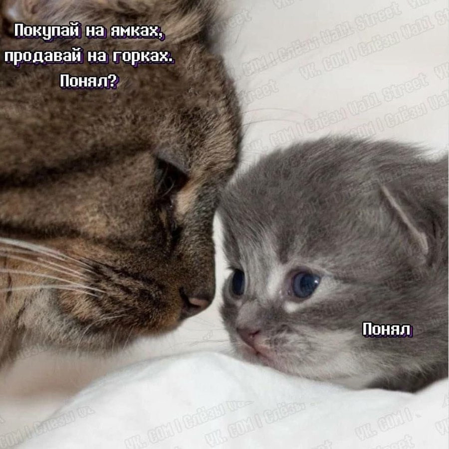 Покупай продавай Понял? Понал