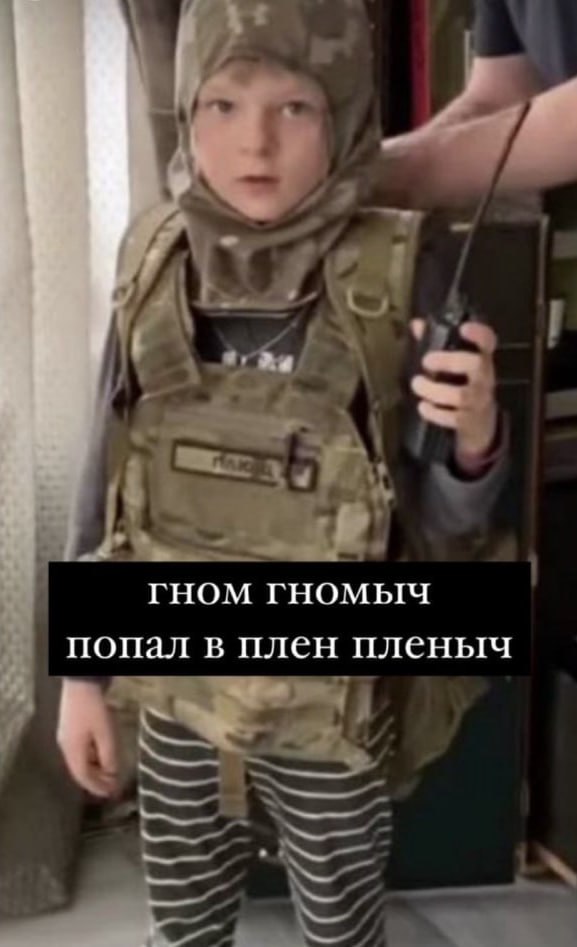 ГНОМ ГНОМЫЧ попал в плен пленыч