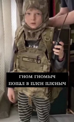 ГНОМ ГНОМЫЧ попал в плен пленыч