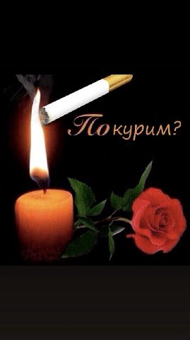 курим?
