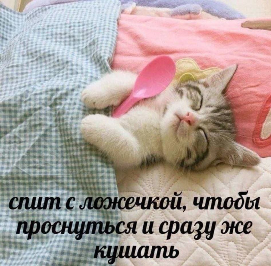 HE as а 4 4 we 4 “3 с и сразу же у