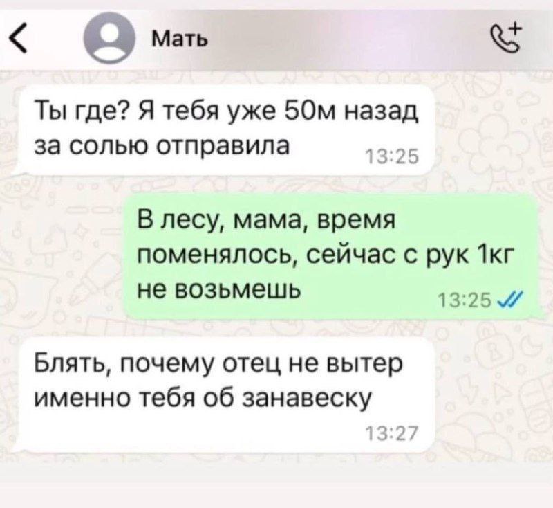 Мать Ты где? Я тебя уже назад за солью отправила 13:2 В лесу, мама, время поменялось, сейчас с рук не возьмешь 13:25 Блять, почему отец не вытер именно тебя об занавеску 13:2