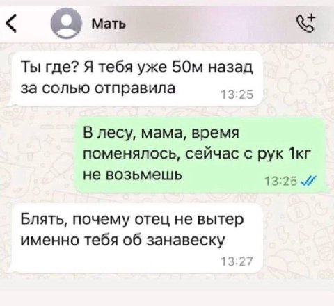 Мать Ты где? Я тебя уже назад за солью отправила 13:2 В лесу, мама, время поменялось, сейчас с рук не возьмешь 13:25 Блять, почему отец не вытер именно тебя об занавеску 13:2