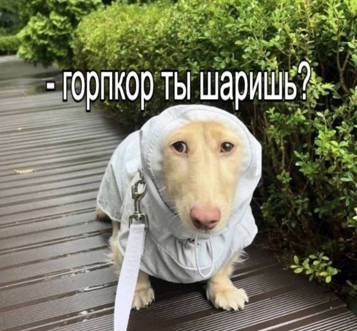 ты