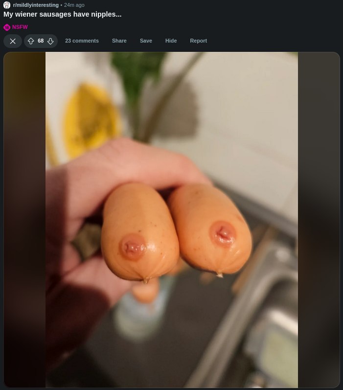 rimildlyinteresting ago My wiener sausages have nipples... 68 23 comments Share Save Hide Report