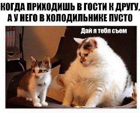 КОГДА ПРИХОДИШЬ В ГОСТИ К ДРУГУ, АУНЕГО В ПУСТО Дай ятебя съем 4 у