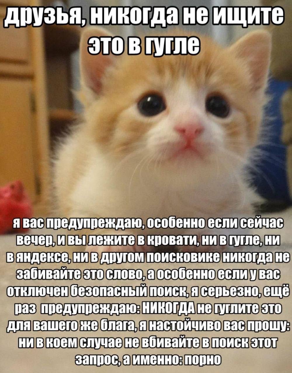 друзья, никогда не ищите это в гугле Я я Bac предупреждаю, особенно если сейчас вечер, ивы лежите в кровати, ни в ни вяндексе, ни в другом поисковике никогда не забивайте это слово, а особенно если у 