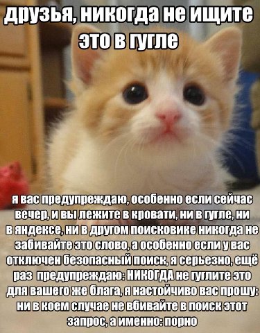 друзья, никогда не ищите это в гугле Я я Bac предупреждаю, особенно если сейчас вечер, ивы лежите в кровати, ни в ни вяндексе, ни в другом поисковике никогда не забивайте это слово, а особенно если у 