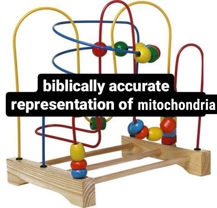 biblically accurate representation of mitochondria