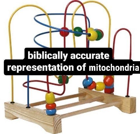 biblically accurate representation of mitochondria