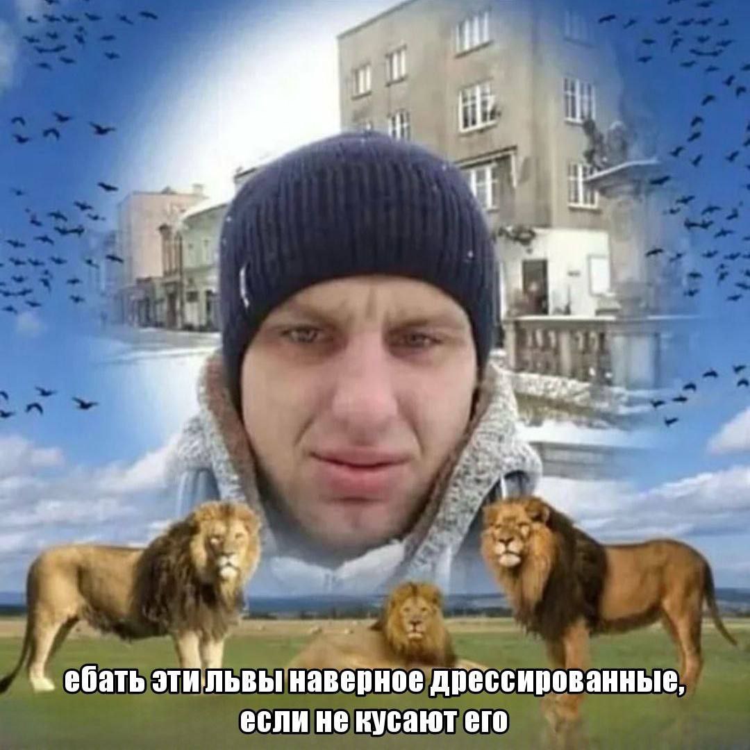 1: a и ебать этильвы наверное дрессированные, если не кусают его