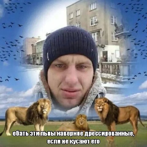 1: a и ебать этильвы наверное дрессированные, если не кусают его