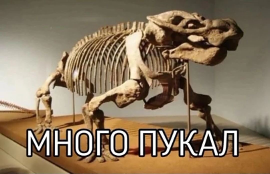 A МНОГО ПУКАЛ