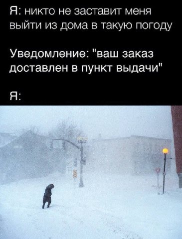Я: никто не заставит меня выйти из дома в такую погоду Уведомление: "ваш заказ доставлен в пункт выдачи" Я:
