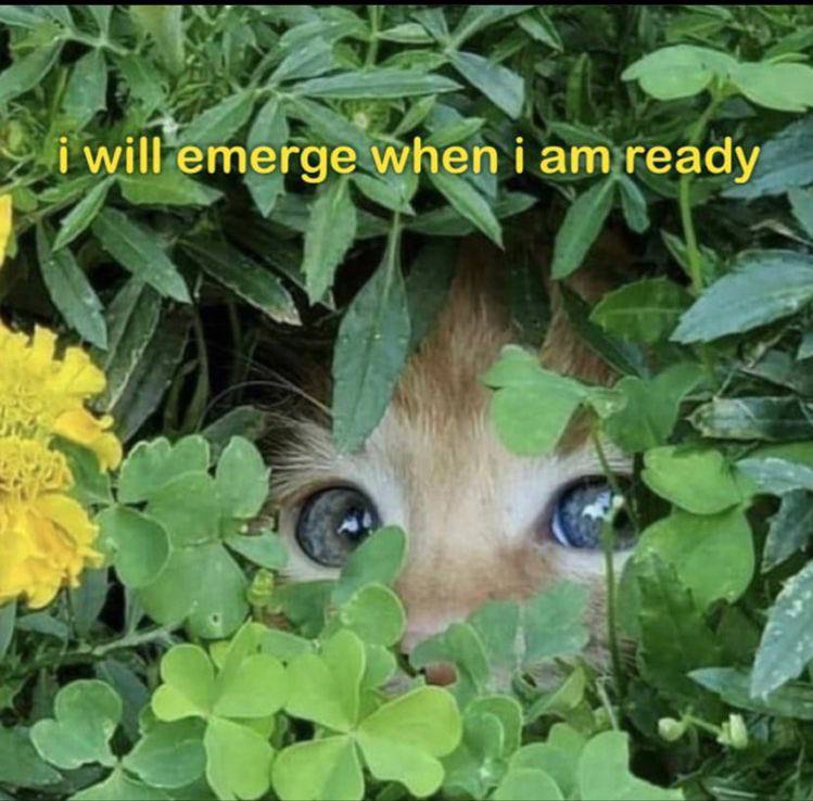 will emerge when i ready