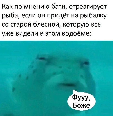 Как по мнению бати, отреагирует рыба, если он придёт на рыбалку старой блесной, которую все уже видели в этом водоёме: Фууу, Боже