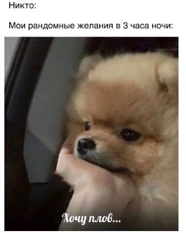 Никто: Мои рандомные желания в 3 часа ночи: Хочу