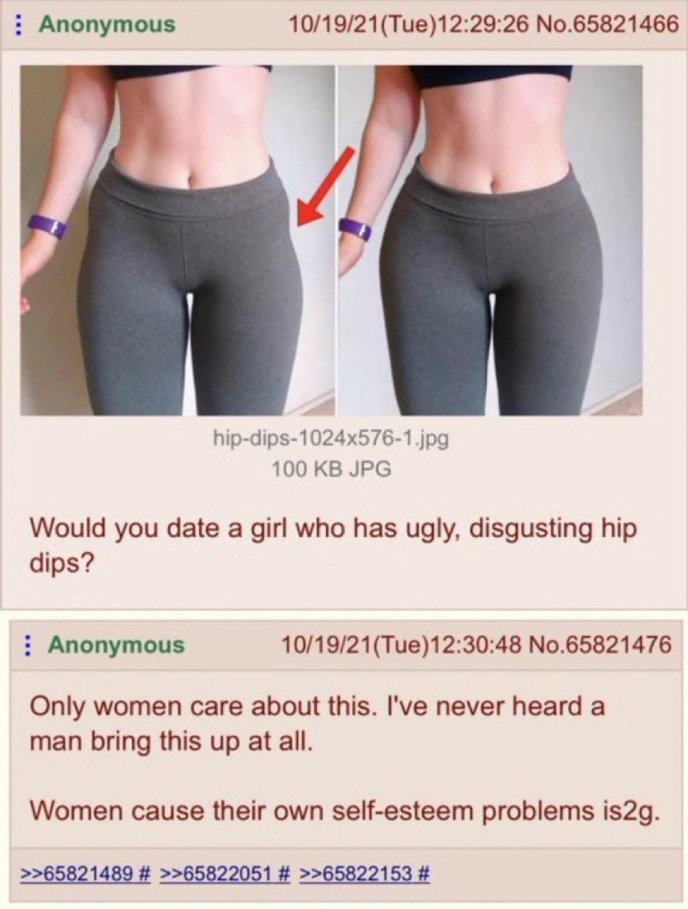 Anonymous 10/19/21(Tue)12:29:26 No.65821466 hip-dips-1024x576-1.jpg 100 JPG Would you date a girl who has ugly, disgusting hip dips? Anonymous 10/19/21(Tue)12:30:48 No.65821476 Only women care about t