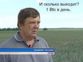 И сколько выходит? 1 в день.