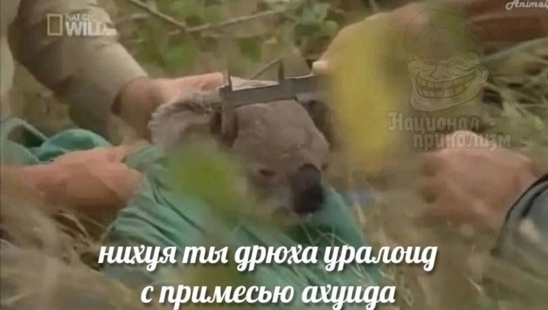 блять каждый раз смешно