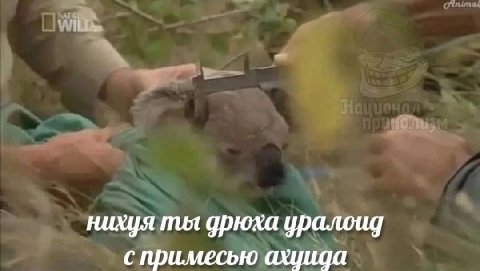 блять каждый раз смешно