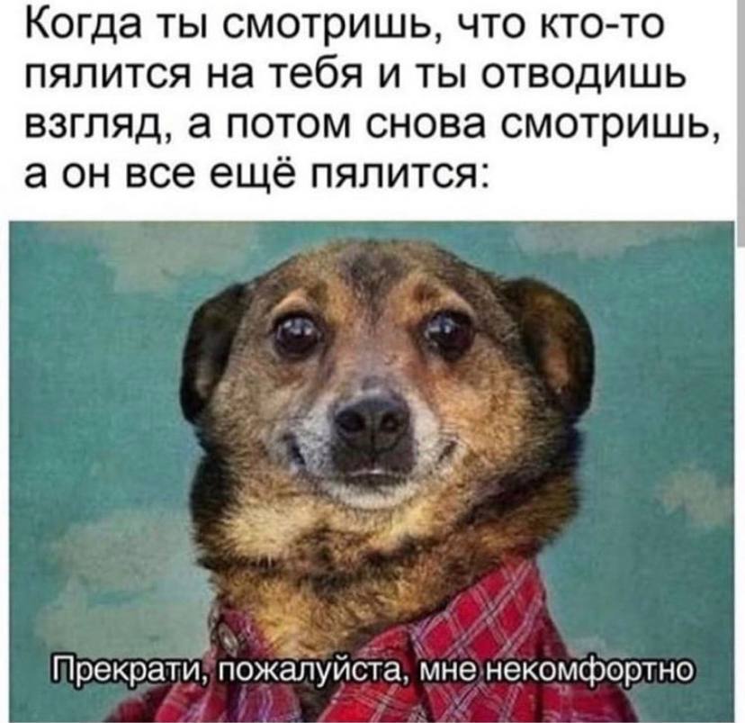 Когда ты смотришь, что кто-то пялится на тебя и ты отводишь взгляд, а потом снова смотришь, а все ещё пялится: пожалуйста, мненекомфортно