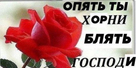 ОПЯ ОРНИ БЛЯТЬ ОСПОЛИ