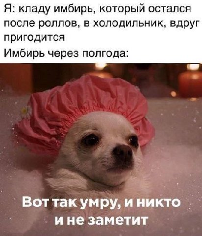 Я: кладу имбирь, который остался после роллов, в холодильник, вдруг пригодится Имбирь через полгода: Воттак умру, и никто ине заметит
