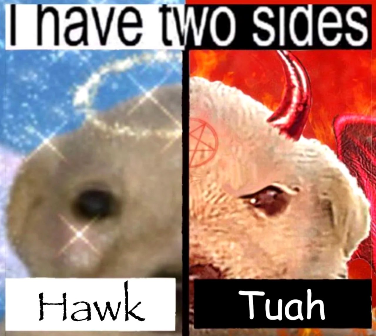 Hawk Tuah
