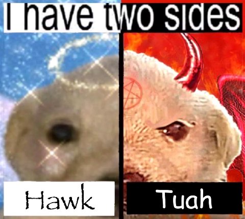 Hawk Tuah