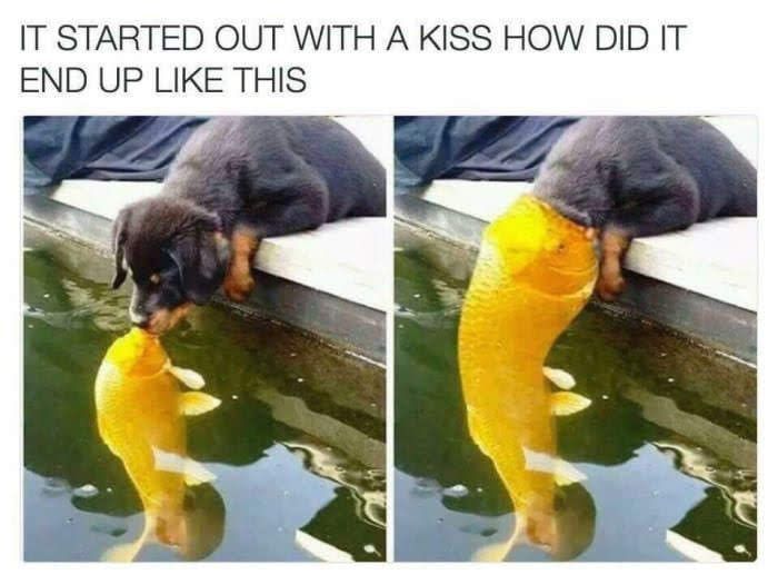 IT STARTED OUT WITH A KISS HOW DID IT END UP LIKE THIS я