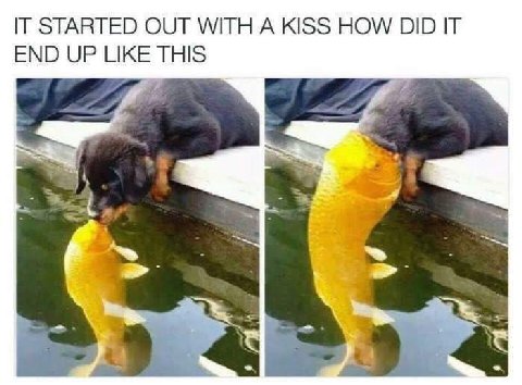 IT STARTED OUT WITH A KISS HOW DID IT END UP LIKE THIS я