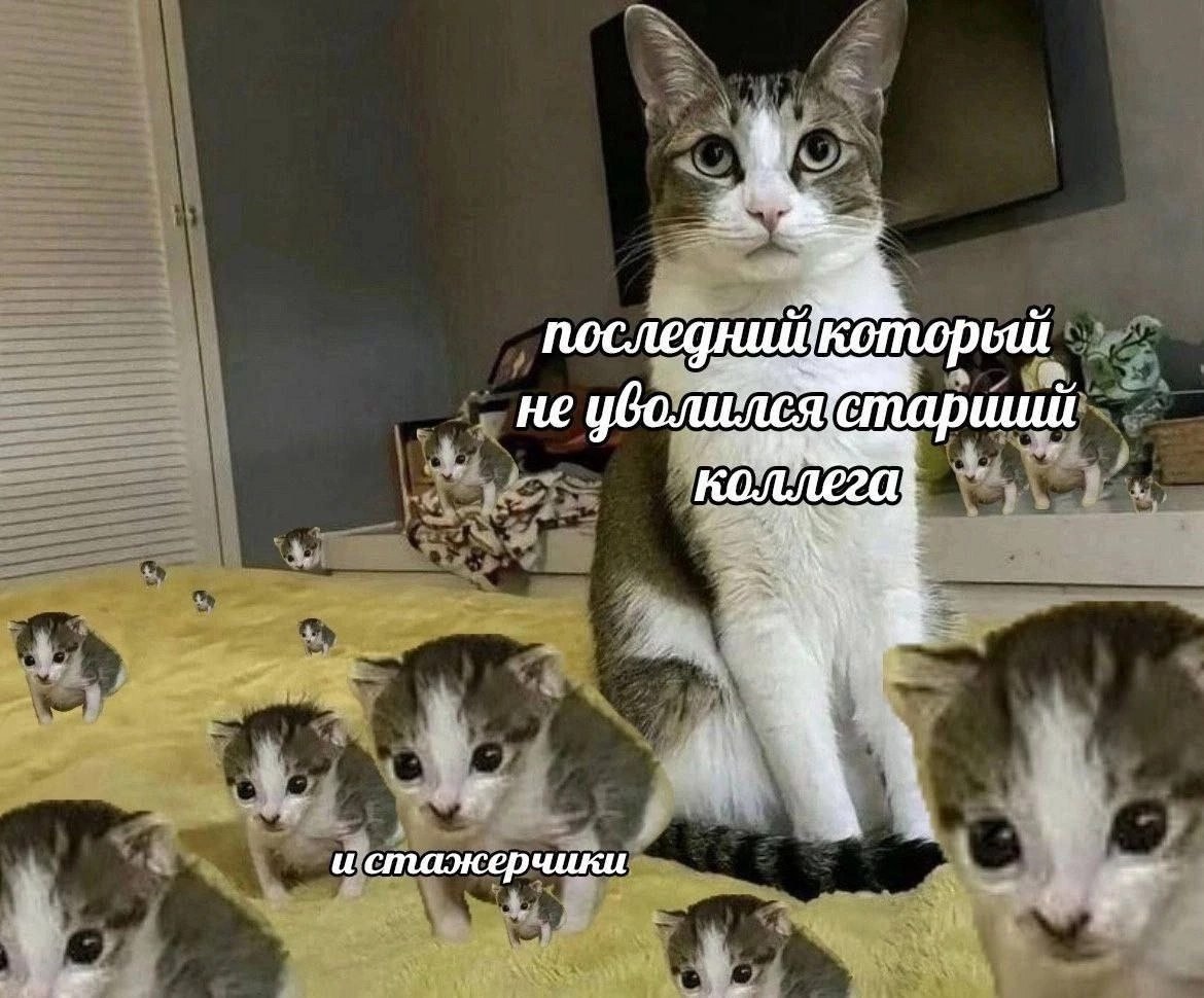 последнийкопорый старший и стажерчики