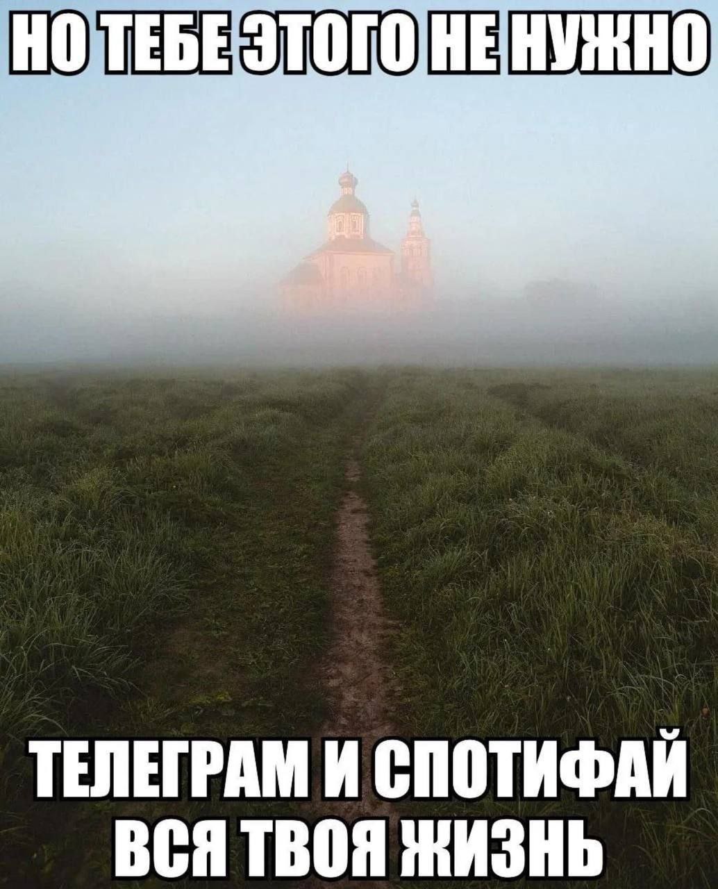 НЕ ТЕЛЕГРАМ И СПОТИФАЙ ВСЯ ТВОЯ ЖИЗНЬ