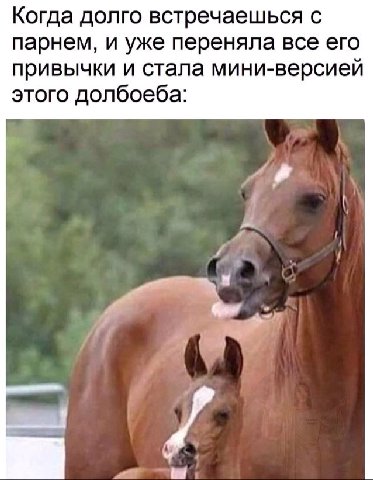 Когда долго встречаешься с парнем, и уже переняла все его привычки и стала мини-версией этого долбоеба:
