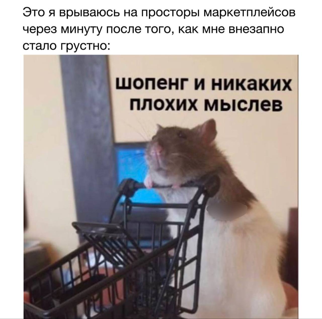 Это я врываюсь на просторы маркетплейсов через минуту после того, как мне внезапно стало грустно: шопенг и никаких плохих мыслев 4 ina 4