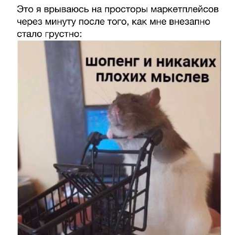 Это я врываюсь на просторы маркетплейсов через минуту после того, как мне внезапно стало грустно: шопенг и никаких плохих мыслев 4 ina 4