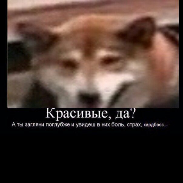 Красивые, да A ты загляни поглубже и увидеш в них боль, страх, хардбасс...