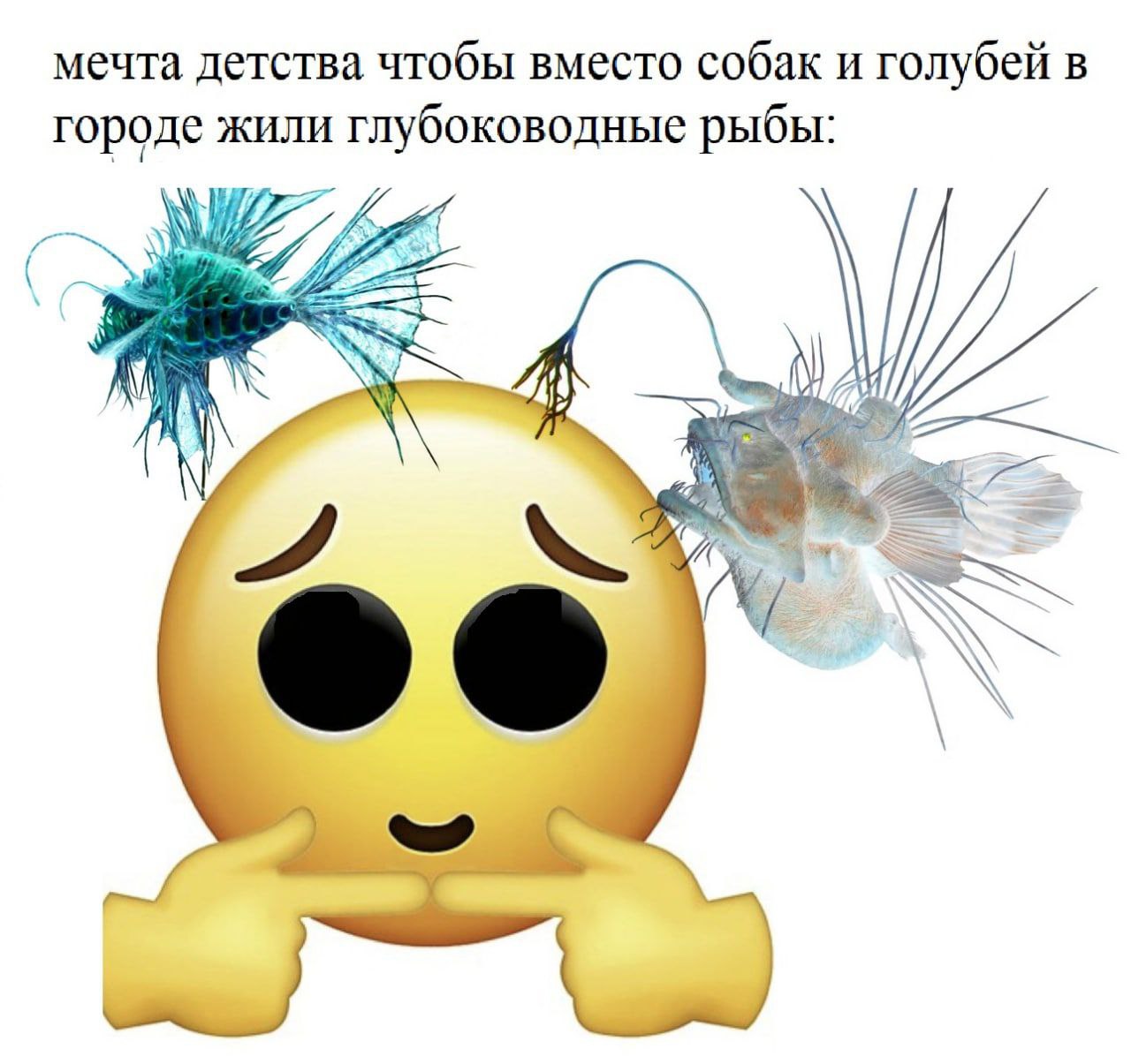 мечта детства чтобы вместо собак и голубей в городе жили глубоководные рыбы: у