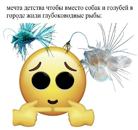 мечта детства чтобы вместо собак и голубей в городе жили глубоководные рыбы: у