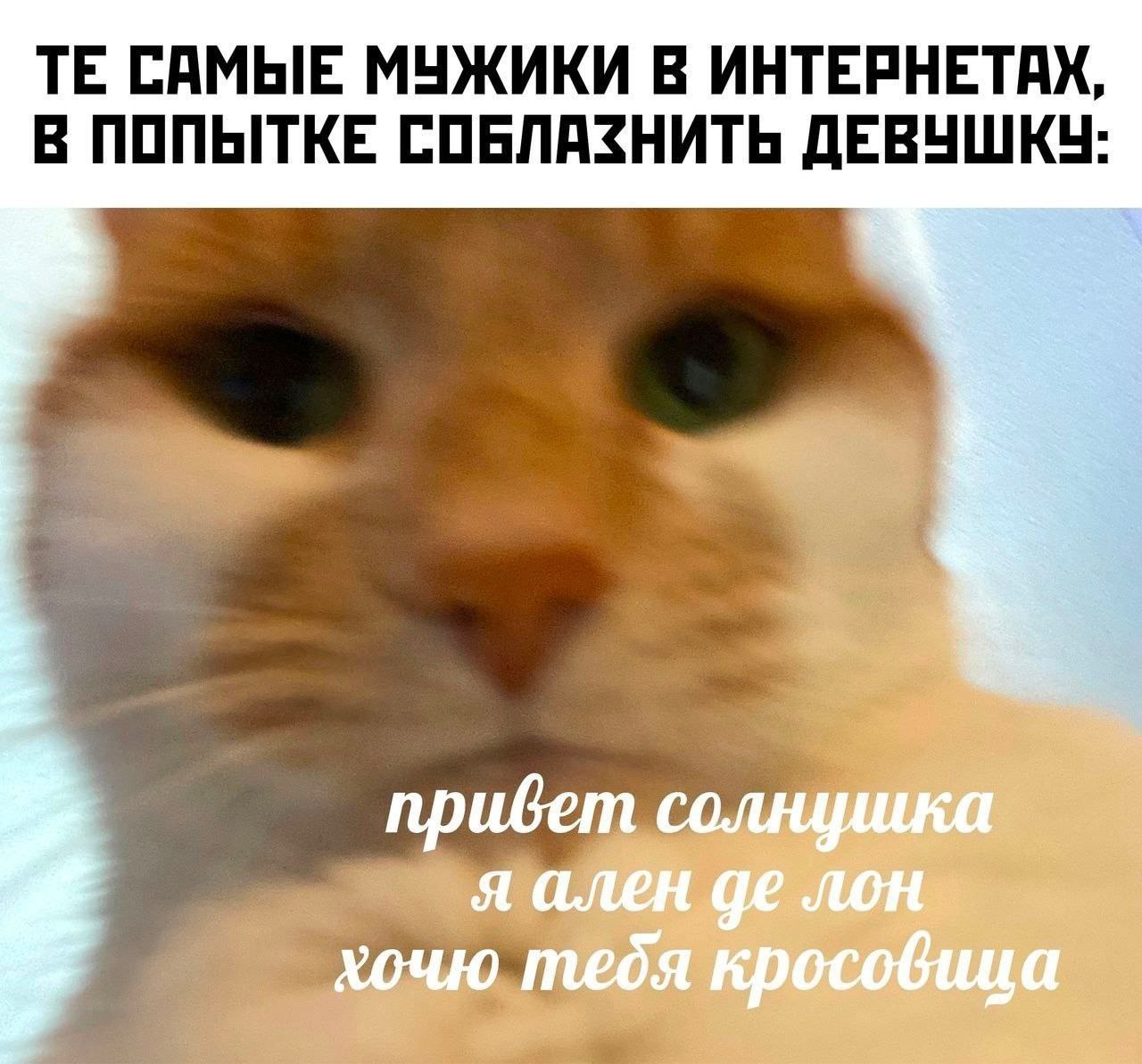 САМЫЕ МУЖИКИ В ИНТЕРНЕТАХ, В ПОПЫТКЕ СОБЛАЗНИТЬ ДЕВУШКУ: