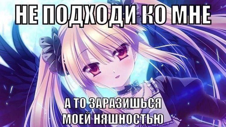 МОЕЙНЯШНОСТЬЮ