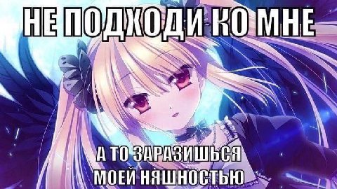 МОЕЙНЯШНОСТЬЮ