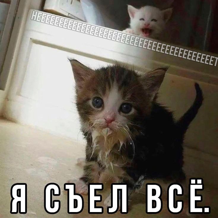 Я СЪЕЛ ВСЁ