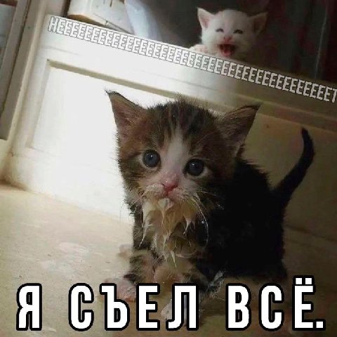 Я СЪЕЛ ВСЁ