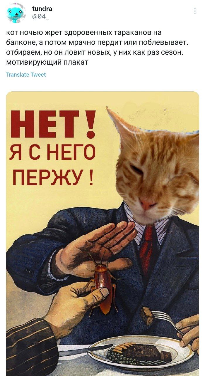 tundra 3; @04_ KOT ночью жрет здоровенных тараканов балконе, а потом мрачно пердит или поблевывает отбираем, он ловит новых, у них как раз сезон. мотивирующий плакат Translate Tweet HET! Я СНЕГО у ПЕР
